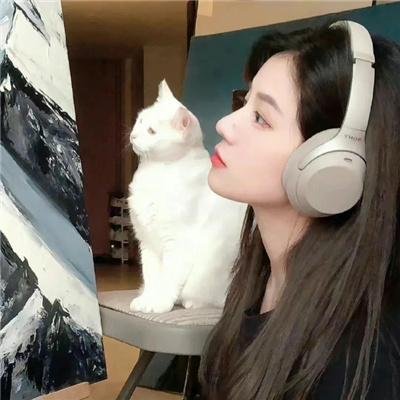 等风也等你